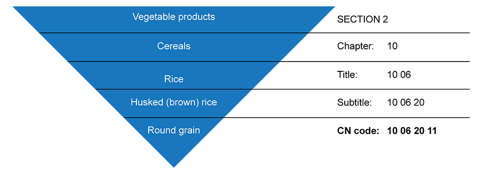 Hierarchy of HS Codes